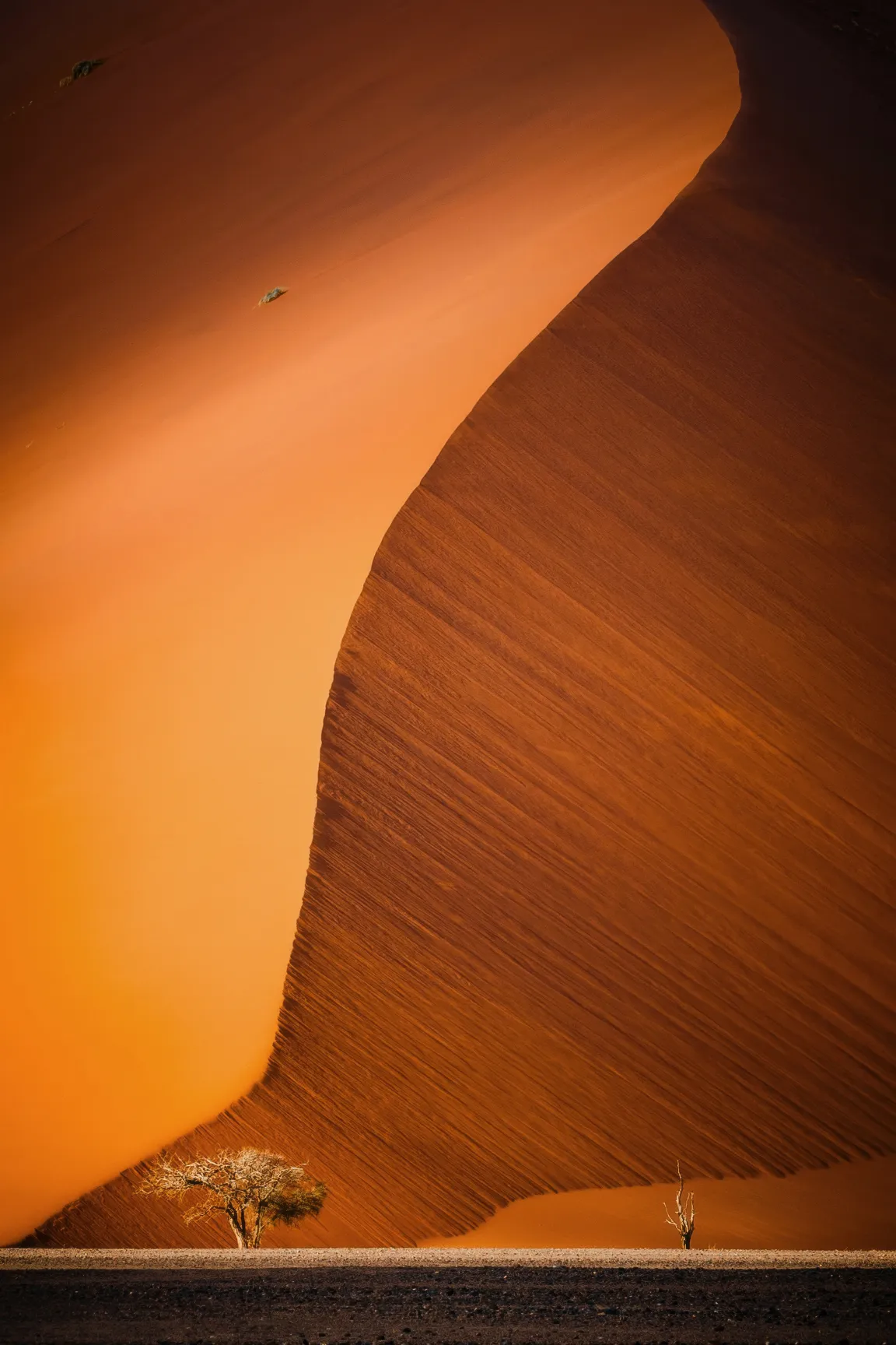 sidebar bg image